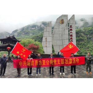 湖南嘉力亞新材料有限公司 2023年“暢游三峽”團建活動圓滿